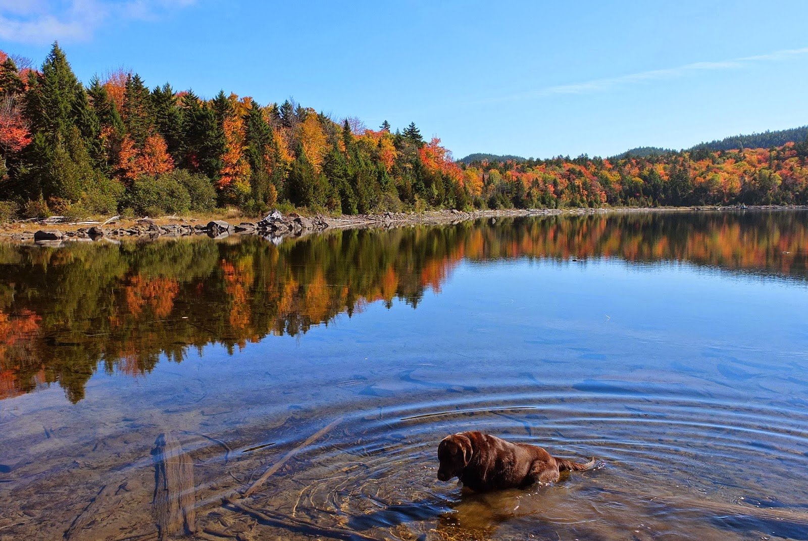 Diving into Maine's Finger Lakes